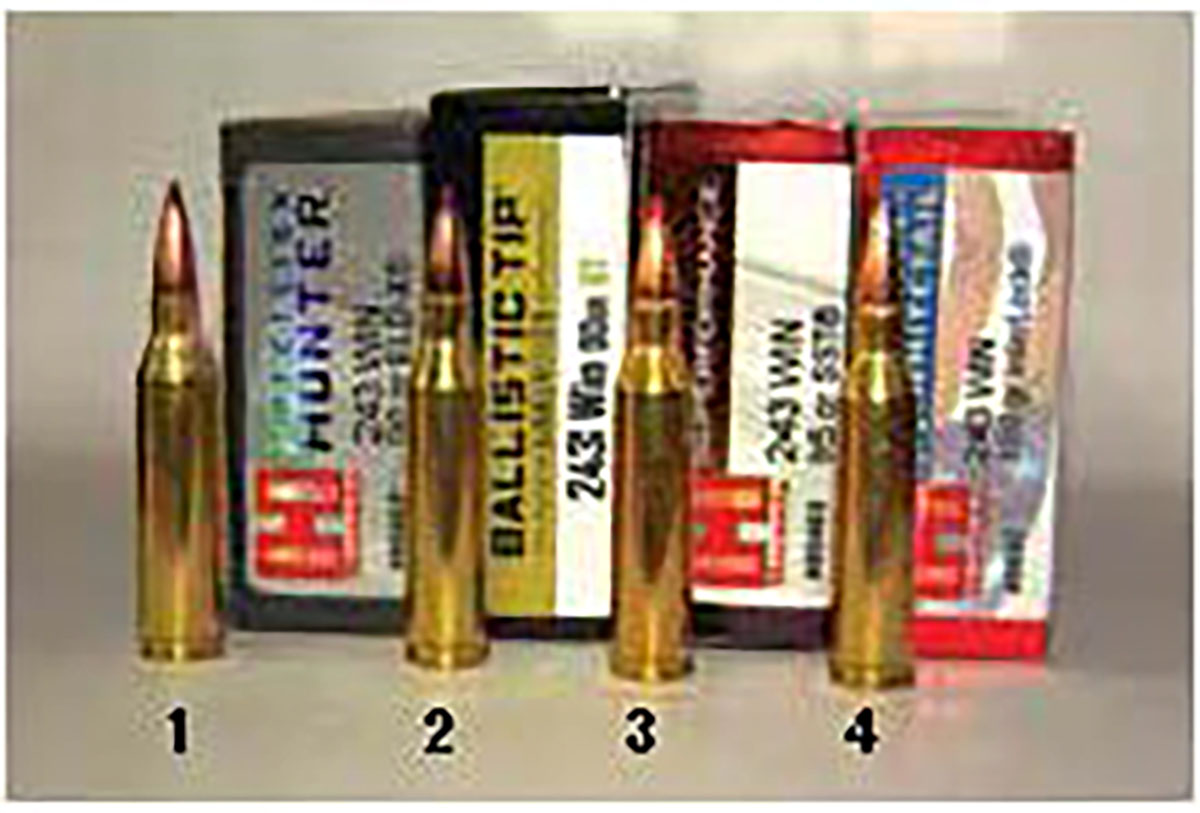 Factory 243 Winchester ammunition shot from the Browning X-Bolt 2 Hunter included from left to right: (1) Hornady’s 95-grain ELD-X Precision Hunter, (2) Nosler 90-grain Ballistic Tip, (3) Hornady 95-grain SST Superformance and (4) Hornady 100-grain InterLock American Whitetail.